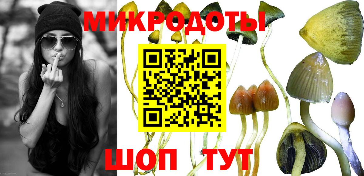 Галлюциногенные грибы GOLDEN TEACHER Псков