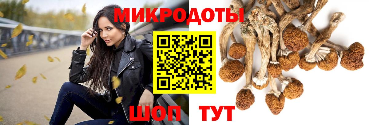 Галлюциногенные грибы прущие грибы  Вход с VPN  Псков  Псилоцибиновые грибы мицелий 